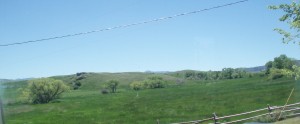 The green grass of Wyoming